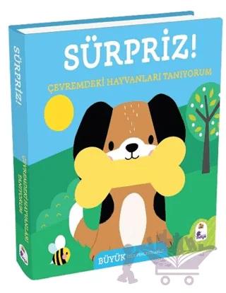 Sürpriz! – Çevremdeki Hayvanları Tanıyorum – Kolektif – İndigo Çocuk kitap kapağı