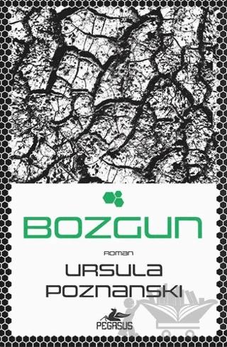 Bozgun