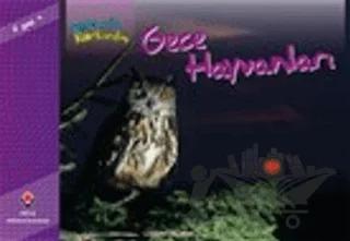 Bir Zamanlar Korkardım - Gece Hayvanları