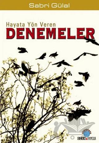 Hayata Yön Veren Denemeler