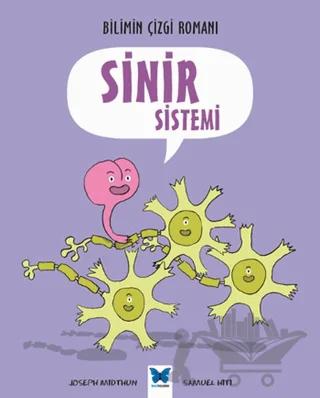 Sinir Sistemi