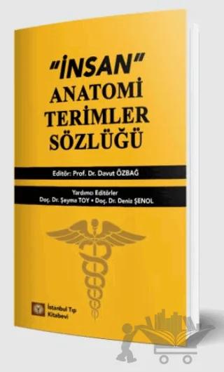 İnsan Anatomi Terimler Sözlüğü