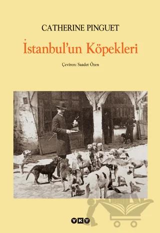 İstanbul’un Köpekleri