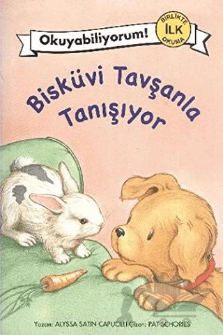 Bisküvi Tavşanla Tanışıyor
