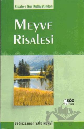 Meyve Risalesi