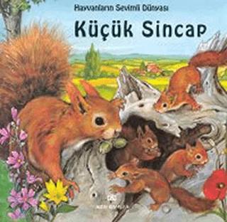 Küçük Sincap