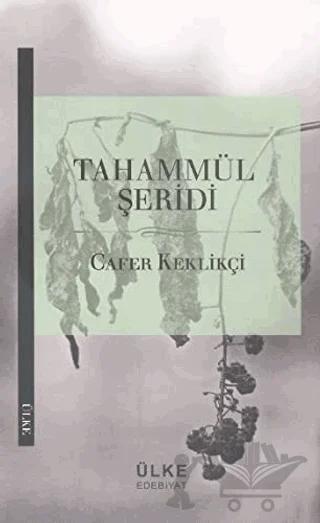 Tahammül Şeridi