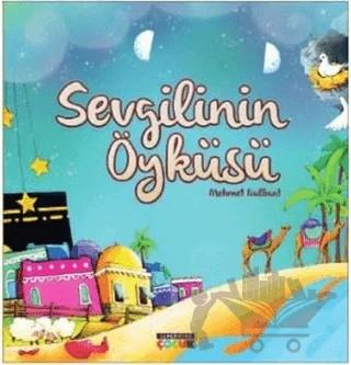 Sevgilinin Öyküsü
