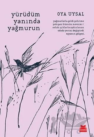 Yürüdüm Yanında Yağmurun