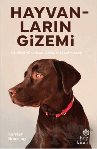 Hayvanların Gizemi