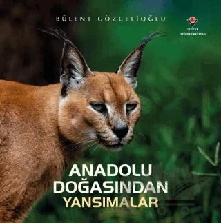 Anadolu Doğasından Yansımalar – Bülent Gözcelioğlu – TÜBİTAK Yayınları kitap kapağı