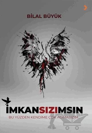 İmkansızımsın