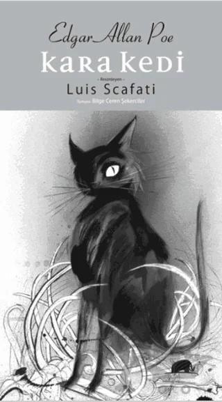Kara Kedi