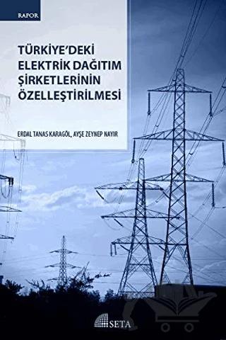 Türkiye'deki Elektrik Dağıtım Şirketlerinin Özelleştirilmesi