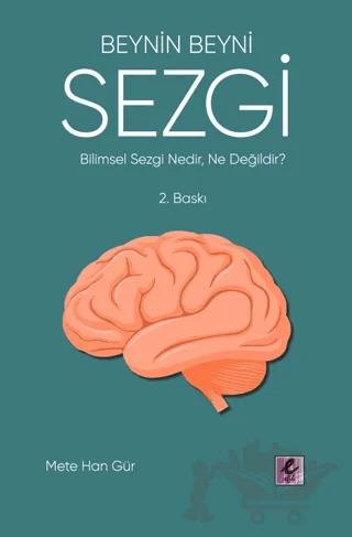 Beynin Beyni Sezgi
