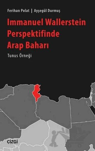 Immanuel Wallerstein Perspektifinde Arap Baharı Tunus Örneği