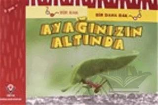Bir Bak Bir Daha Bak - Ayağınızın Altında