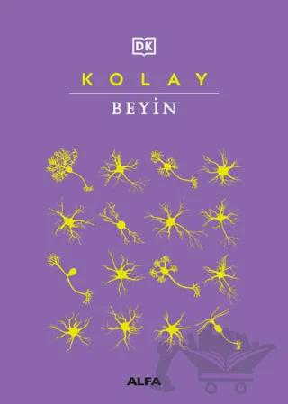 Kolay Beyin