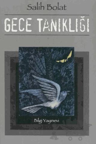 Gece Tanıklığı