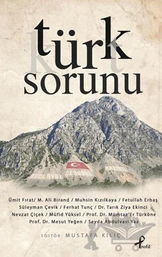 Türk Sorunu