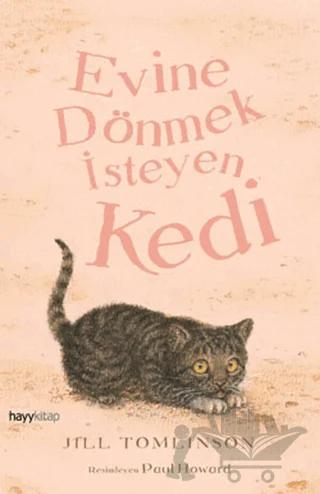 Evine Dönmek İsteyen Kedi