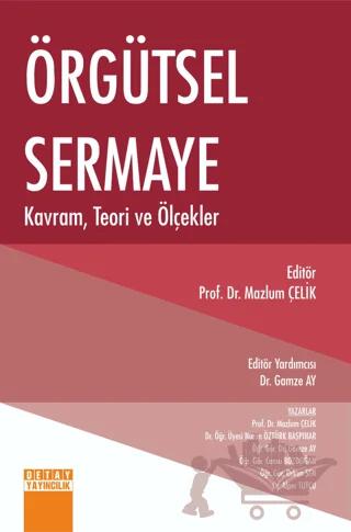 Örgütsel Sermaye Kavram, Teori ve Ölçekler – Kolektif – Detay Yayıncılık kitap kapağı