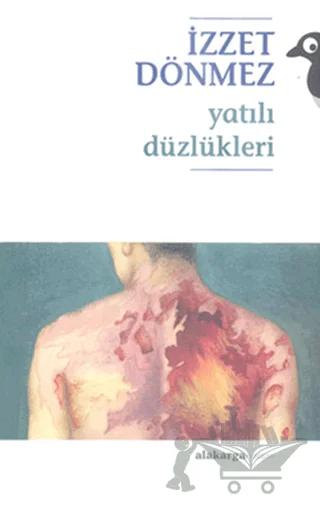 Yatılı Düzlükleri – İzzet Dönmez – Alakarga Sanat Yayınları kitap kapağı