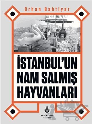 İstanbul’un Nam Salmış Hayvanları