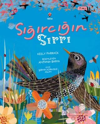 Sığırcığın Sırrı