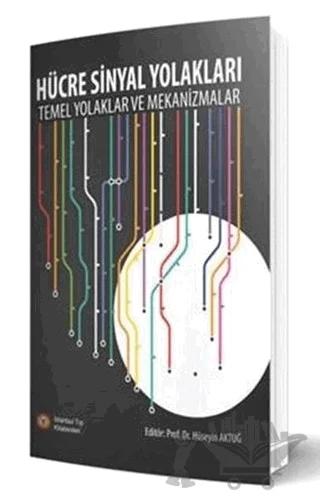 Hücre Sinyal Yolakları
