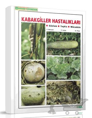 Kabakgiller Hastalıkları