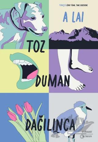Toz Duman Dağılınca