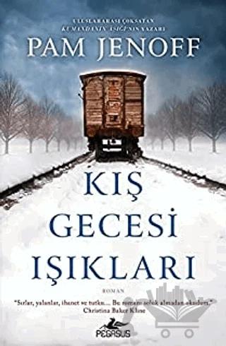 Kış Gecesi Işıkları