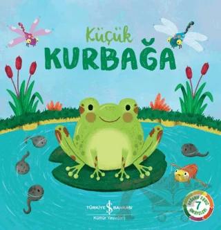 Küçük Kurbağa