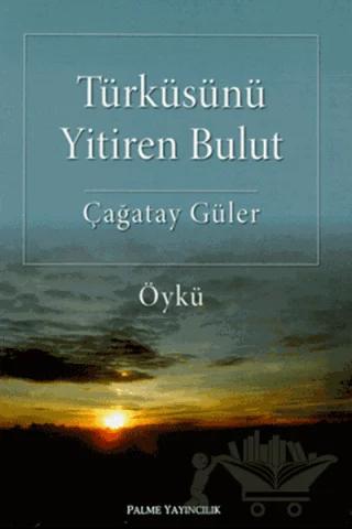 Türküsünü Yitiren Bulut