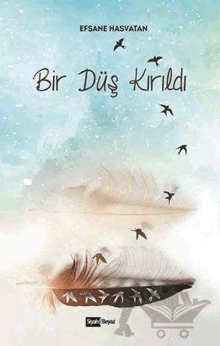 Bir Düş Kırıldı