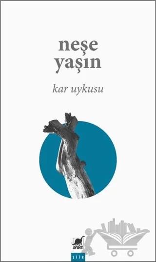 Kar Uykusu