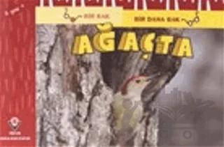 Bir Bak Bir Daha Bak - Ağaçta
