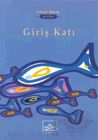 Giriş Katı