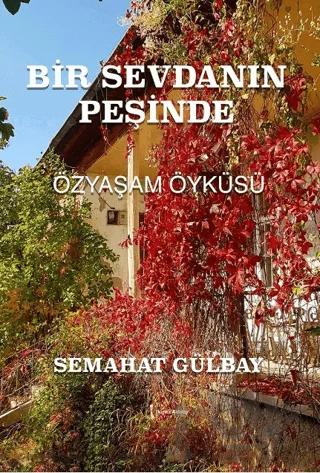 Bir Sevdanın Peşinde