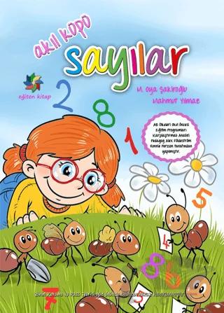 Akıl Küpü - Sayılar