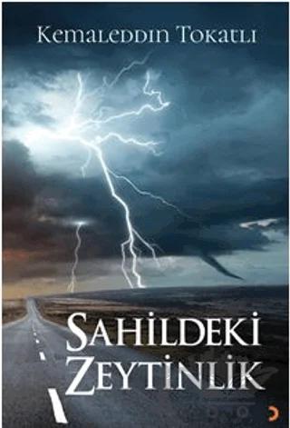Sahildeki Zeytinlik