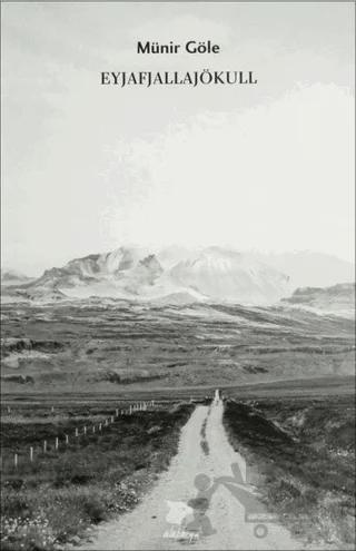 Eyjafjallajökull