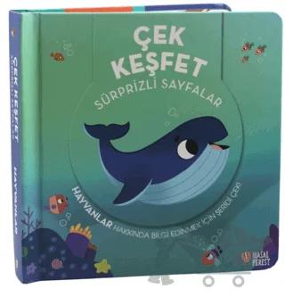 Çek Keşfet Hayvanlar