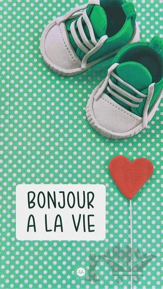 Bonjour a la Vie (Hayata Merhaba) Fransızca