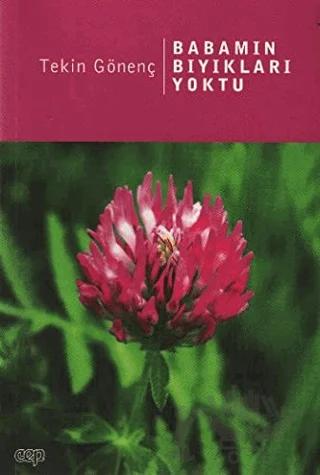 Babamın Bıyıkları Yoktu