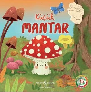 Küçük Mantar