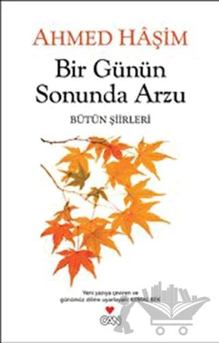 Bir Günün Sonunda Arzu