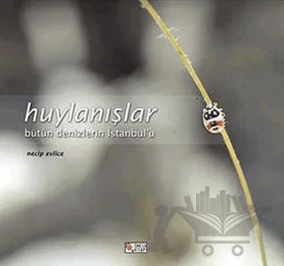 Huylanışlar