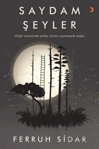 Saydam Şeyler